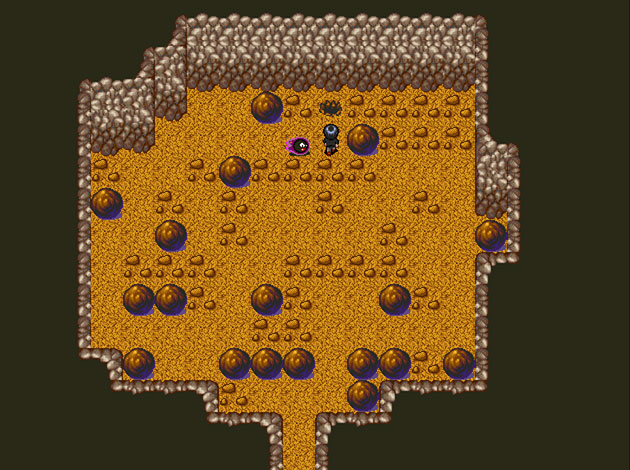 Diglett Cave Puzzle in Pokemon Evans Adventure.